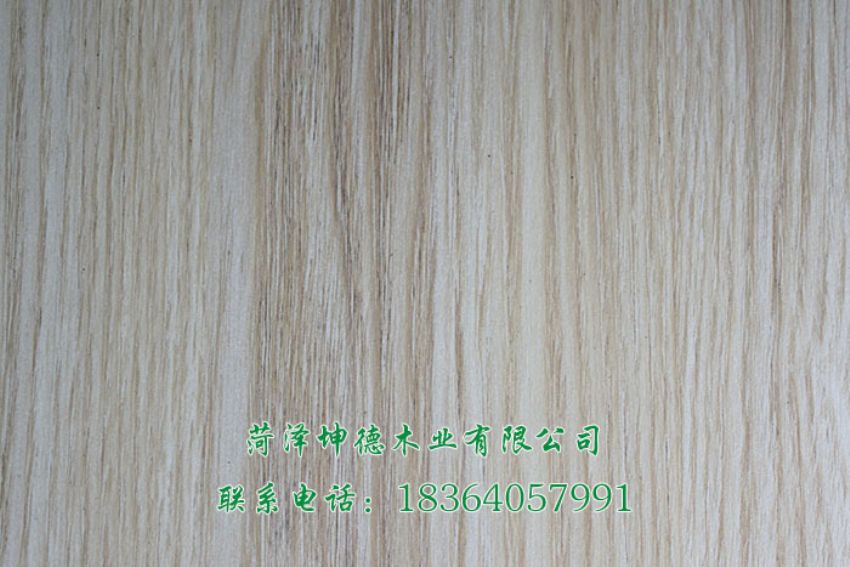 點(diǎn)擊查看詳細(xì)信息<br>標(biāo)題：雨絲銀橡 閱讀次數(shù)：919