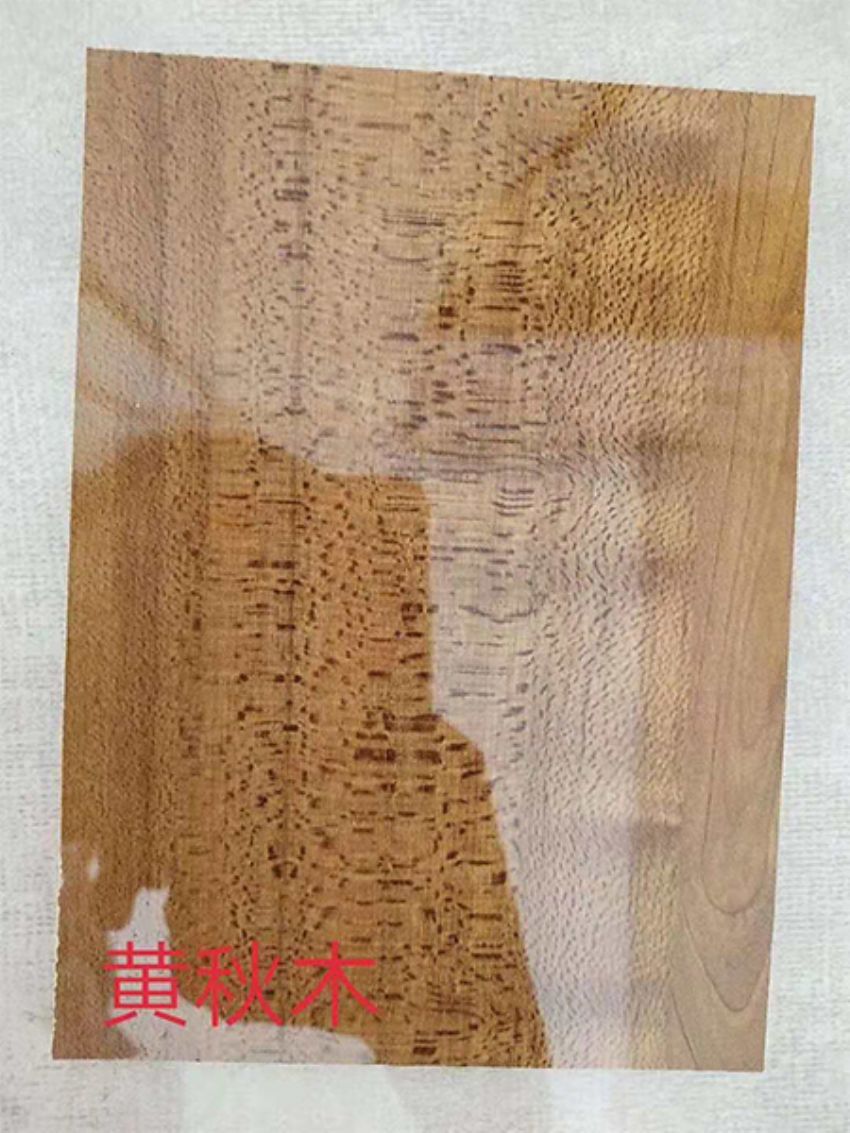 點(diǎn)擊查看詳細(xì)信息<br>標(biāo)題：黃秋木 閱讀次數(shù)：912